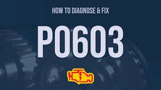 How to Diagnose and Fix P0603 Engine Code  OBD II Trouble Code Explain [upl. by Oiramed]