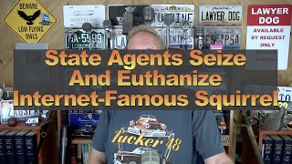 State Agents Seize And Euthanize InternetFamous Squirrel [upl. by Ariahay284]