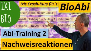 Nachweisreaktionen 1 Nachweis von Glukose Protein Eiweiß Stärke  Abiturtraining 2 Praxisteil [upl. by Derwon992]