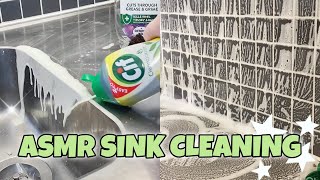 ASMR Sudsy Sink Cleaning Sensation 🧼 [upl. by Haissem]