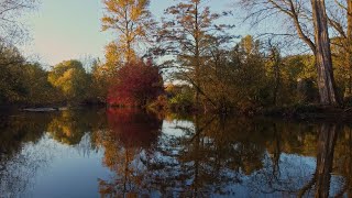 Triptych Two Betwixt [upl. by Gascony]