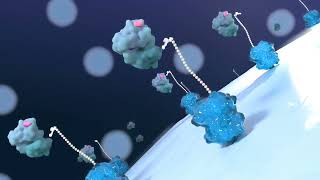 Identify amp Characterize New Potent amp Selective Ligands with E3scan LigandBinding Assay Technology [upl. by Elon505]