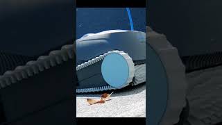 DOLPHIN Advantage ROBOTIC POOL CLEANER  Review roboticpoolcleaner dolphinadvantage robot [upl. by Omlesna]