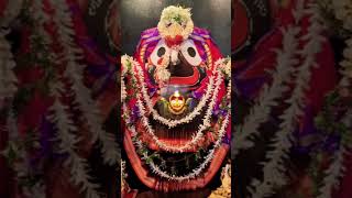 Kaliya Thakara🙏✨🙏❤️⭕️❗️⭕️trending viralvideo jagannath mahaprabhu ytshorts full support [upl. by Sivle296]