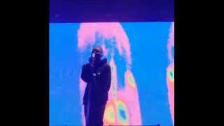 Frank Ocean live at the Pemberton Music Festival 2072014 IG videos [upl. by Anneres]