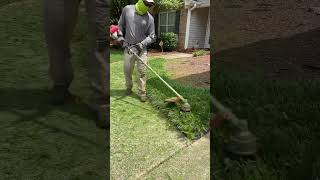 Taking down and edging this liriope muscari 🌾🌾🌾 foryou youtubeshorts satisfying fyp fypage [upl. by Burnham]