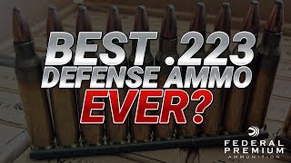 Best 223 Defense Ammo Ever Federal 556mm 62gr FBIT3 Gel Test [upl. by Aronos]