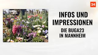 Die BUGA 23 in Mannheim – Infos und Impressionen [upl. by Eceerehs88]