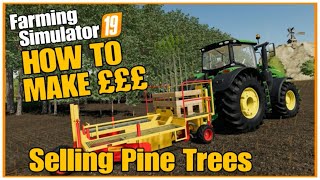 Farming simulator 19 How to make £££ selling logs Pine trees pallet saplings [upl. by Ayala443]