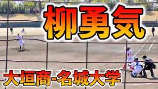 柳勇気（大垣商名城大学）のバッティングフォーム 打ち方 タイミングの取り方 体重移動 打撃 構え【2024310 第23回東海社会人・愛知大学野球対抗戦】 [upl. by Stanford]