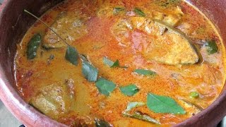 Kerala fish Curry With Coconut Milk  Kerala Recipes  Nisa Homey [upl. by Ojillek]