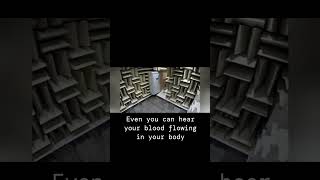 Microsoft Hold Genius Record For Most Silent Room Anechoic Chamber [upl. by Nuavahs]