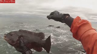 Tautog Surf Fishing Rhode Island [upl. by Asenaj]