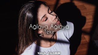 Tekir  Ağlaya Ağlaya  Halil Yıldırım Remix [upl. by Chilton]