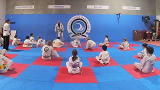 Martial Arts Teacher training [upl. by Gimpel]