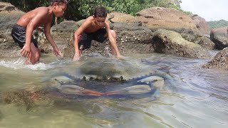 Wilderness Food Caught Mother Blue Crab [upl. by Edrick618]