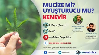 Kenevir Mucize mi Uyuşturucu mu I Asam Kendir Enstitüsü Başkanı Erdem Ulaş [upl. by Mcleroy]