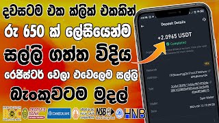 online job sinhala 2024  online job at home sinhala  E money sinhala  online salli hoyana karama [upl. by Merce73]