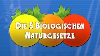 Die 5 Biologischen Naturgesetze  Die Dokumentation [upl. by Myra]