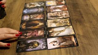 HALLE BAILEY amp DDG  WHATS THE ENERGY BETWEEN THEM  CELEBRITY TAROT READING [upl. by Annora272]