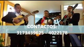 Te amere toda la vida Javier Solis Serenata trio de cuerda Cumpleaños 3173439625 [upl. by Ahselyt]