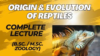 ORIGIN AND EVOLUTION OF REPTILES I Explanation  MSc  BSc Zoology [upl. by Derinna]