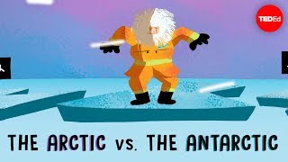 The Arctic vs the Antarctic  Camille Seaman [upl. by Suzann543]