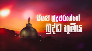 සැවැත් නුවර කොසොල් රජ මාළිගා සංකිර්ණය [upl. by Yelruc]