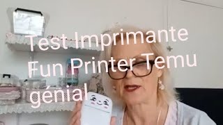 Test Imprimante Fun Printer Temu Génial [upl. by Normalie]