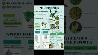 Pteridophytes  Plant kindgom  biology class11th plant  Manan Sachdeva  Bio Archives [upl. by Leba]