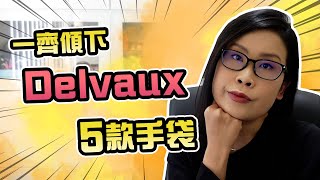 Delvaux滅火篇定焚燒篇🤔5款手袋🤭包包分享  黑咪 [upl. by Bathulda246]