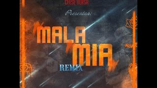 COCO EL ESTRATEGA CON CEESE BERSA  MALA MIA REMIX 2014 [upl. by Gabriell231]