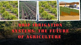 Drip Irrigation Systems Revolutionizing Water Efficiency in Agriculture  Drip irrigation Basics [upl. by Etnovaj]