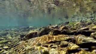 Babbling River Amami Oshima  GoPro HERO3 Short Film [upl. by Ahsinawt]