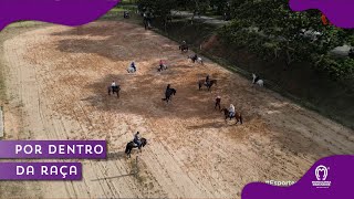 CURSO PARA PROVAS ESPORTIVAS DO MANGALARGA MARCHADOR [upl. by Brandtr102]