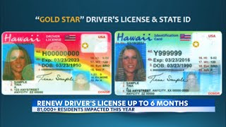 Drivers License Renewal Reminder [upl. by Ennahtur592]