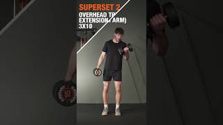 20 Minute Arm Workout  Mirafit [upl. by Tj]