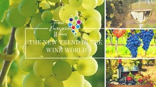 NEW WINE TRENDS  FINE EUROPEAN WINES [upl. by Angle929]