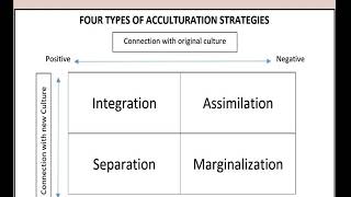 ACCULTURATIVE STRATEGIES [upl. by Attelocin]