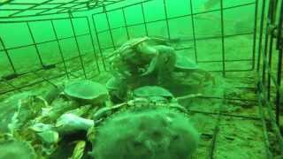 Part 25 Seattle Puget Sound Crabbing  GoPro Hero 3 [upl. by Nylkoorb]