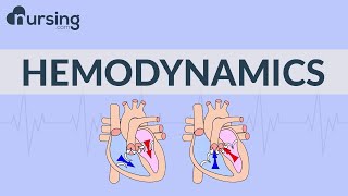 The Basics of Hemodynamics Nursing School Lessons [upl. by Baker]