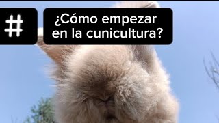 Cómo iniciar en la cunicultura 🤠🐰🇲🇽🐇 [upl. by Ilocin349]