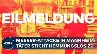 MESSERANGRIFF IN MANNHEIM Extremist sticht auf IslamKritiker ein  Polizei schießt Täter nieder [upl. by Ranice]