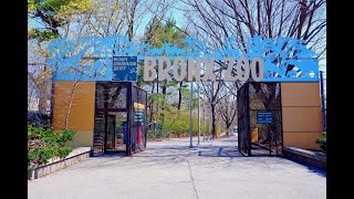 Bronx Zoo Southern Boulevard The Bronx New York [upl. by Ramma824]