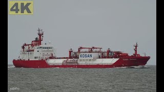 TESSA KOSAN  Shipspotting Germany 🇩🇪 Elbe near Otterndorf  4K VIDEO [upl. by Asyal]