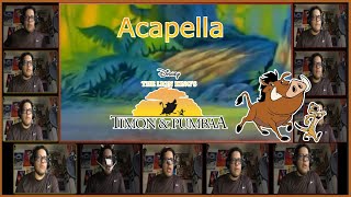 The Lion Kings Timon and Pumbaa Theme  Acapella [upl. by Rednas]