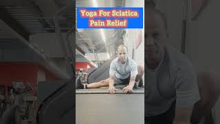 Yoga For Sciatica Pain Relief shorts sciatica yoga fyp foryou stretching backpainrelief [upl. by Auerbach]