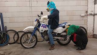 Furry Motorbike Tires deflate [upl. by Ddat]