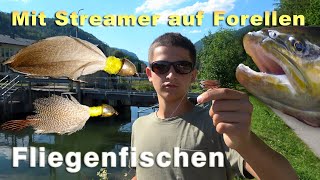 Mit Streamer auf Forellen angeln  Fliegenfischen  Fischen auf Forellen am Bach mit Streamer [upl. by Salguod]