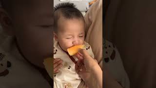 Baby try to wake up Papa for morning walk very cute 🥰🥰🥰 [upl. by Anitel28]